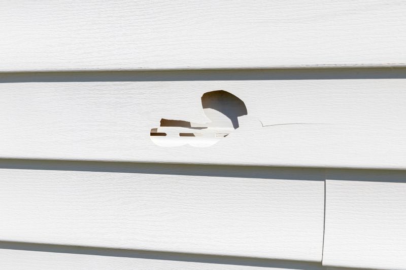 Seamless Vinyl Siding Patching